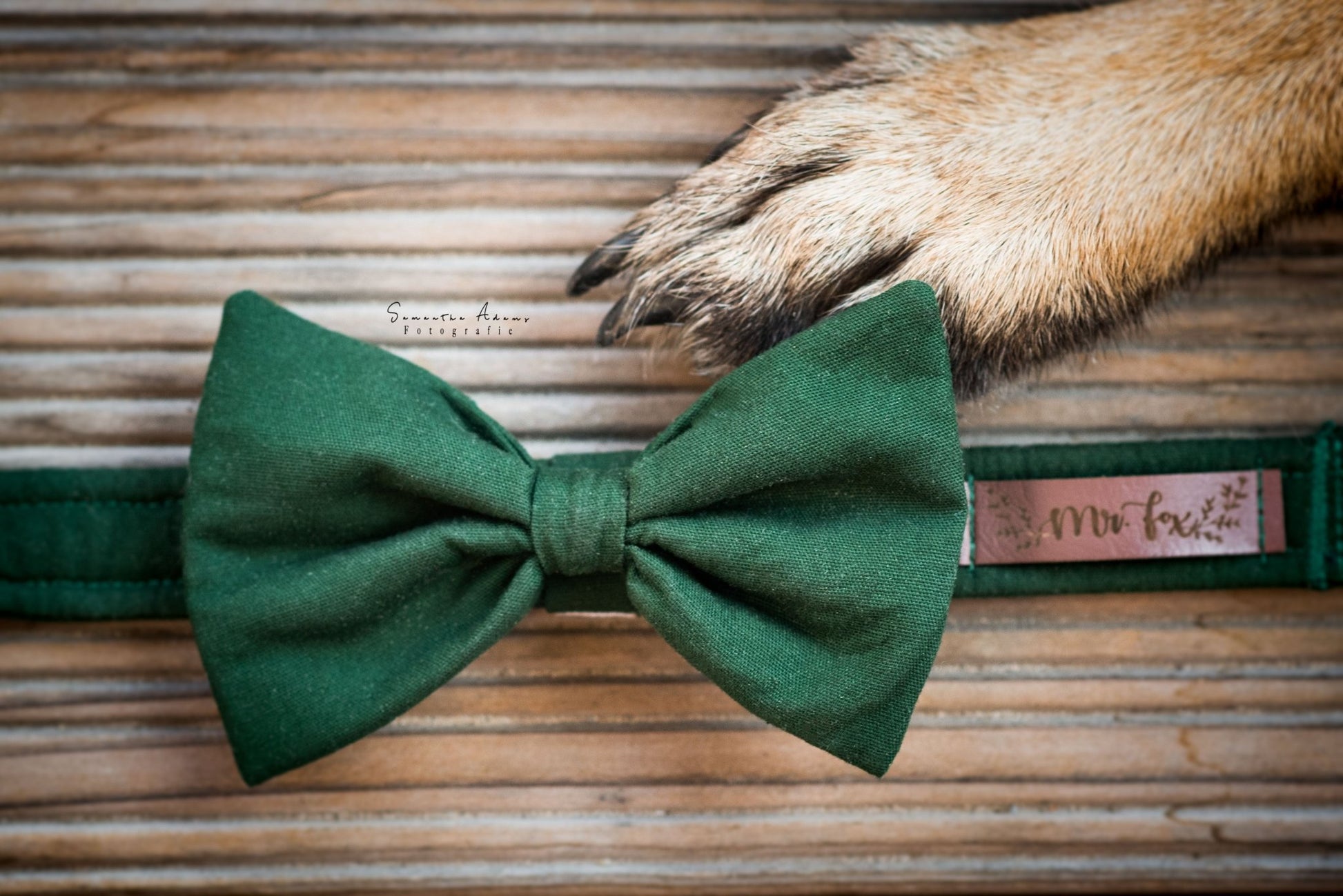 "Bottle Green Uni" Halsband für Hunde - Mr. Fox Hundezubehör