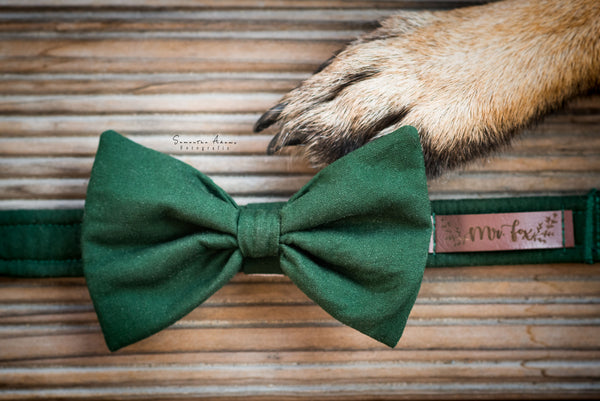 "Bottle Green Uni" bow tie for dog collars