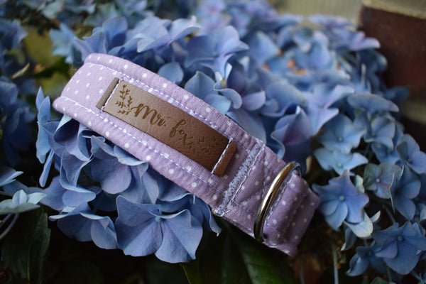 "Lilac Polkadot" collar for dogs