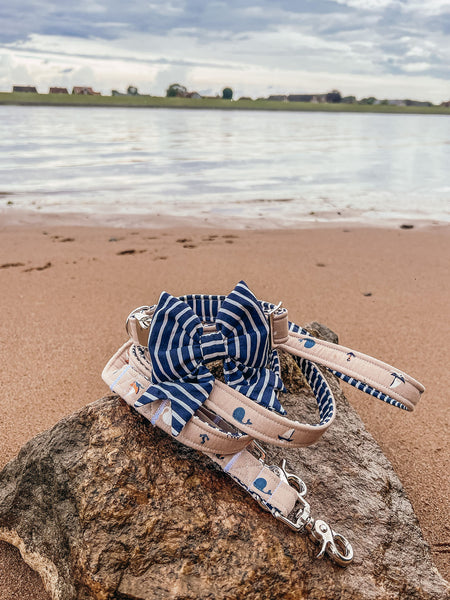 "Salty Sea" Halsband für Hunde