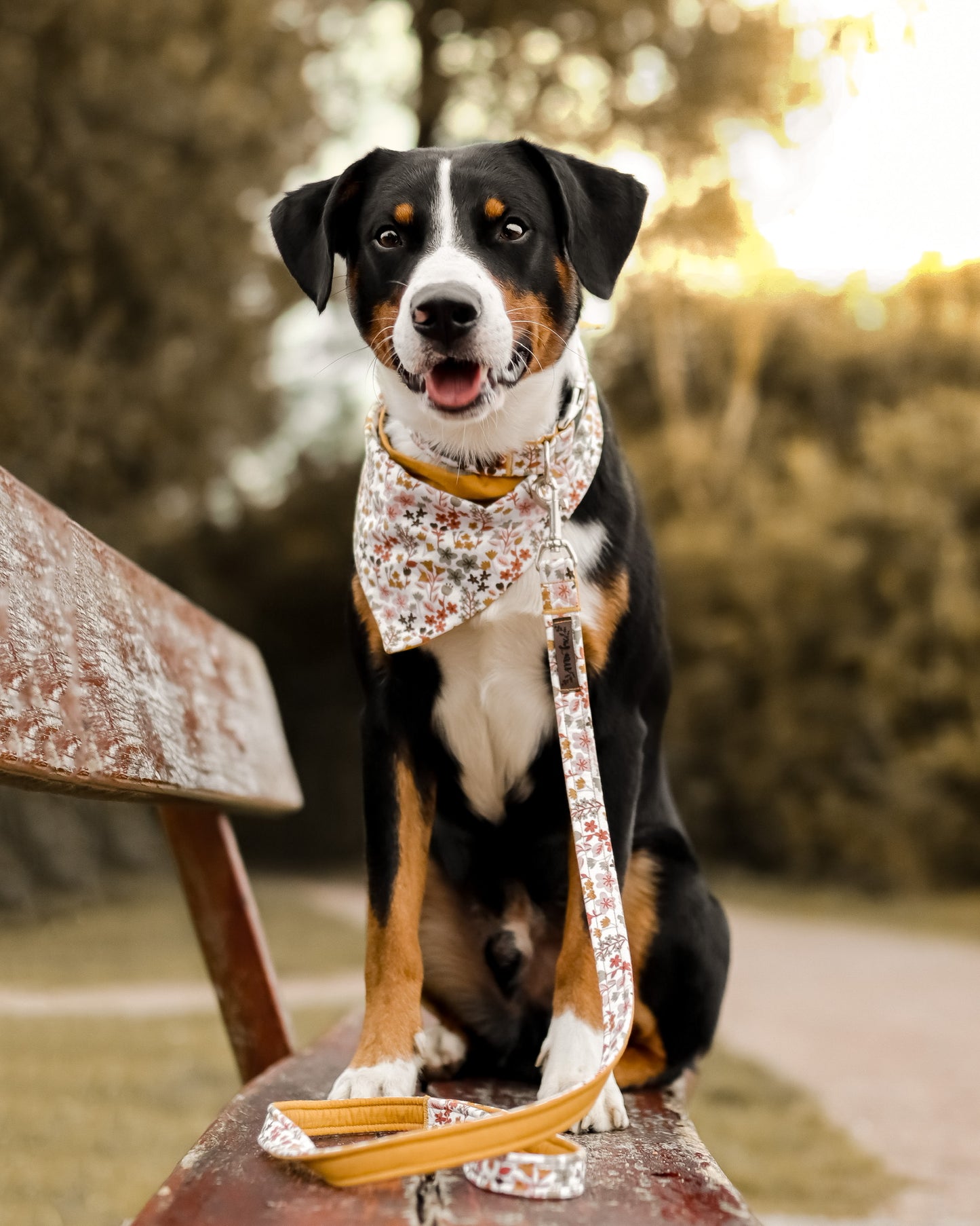 "Boho Bliss" Hundehalstuch - Mr. Fox Hundezubehör