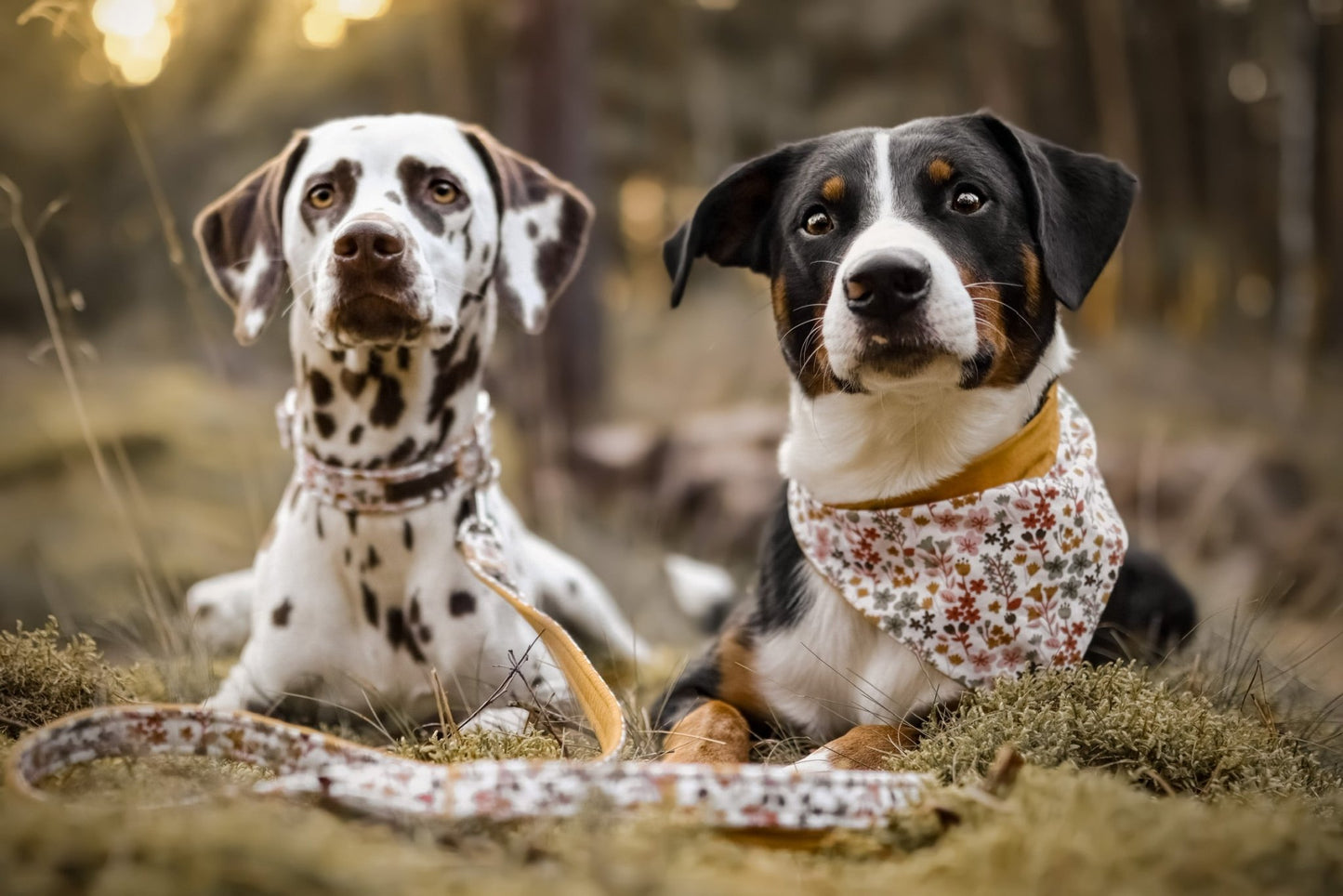 "Boho Bliss" Hundehalstuch - Mr. Fox Hundezubehör