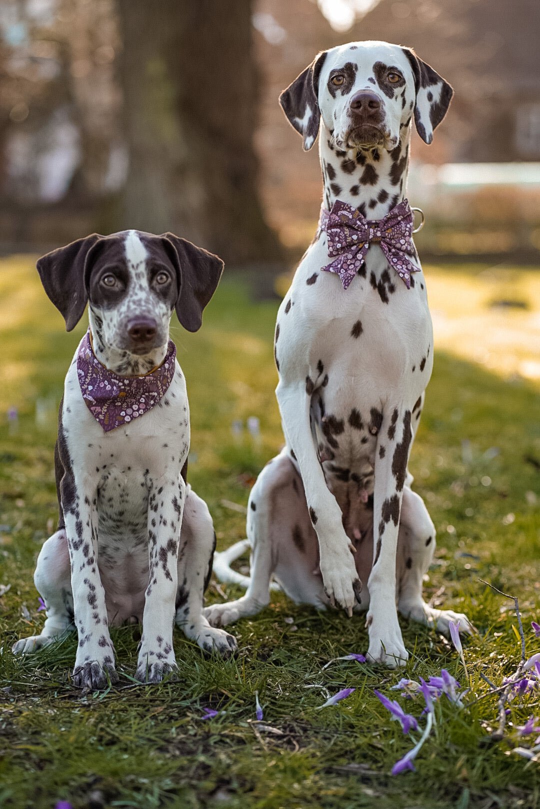 "Boho Bloom" Hundehalstuch - Mr. Fox Hundezubehör