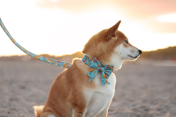 "Fox & Flowers" dog leash