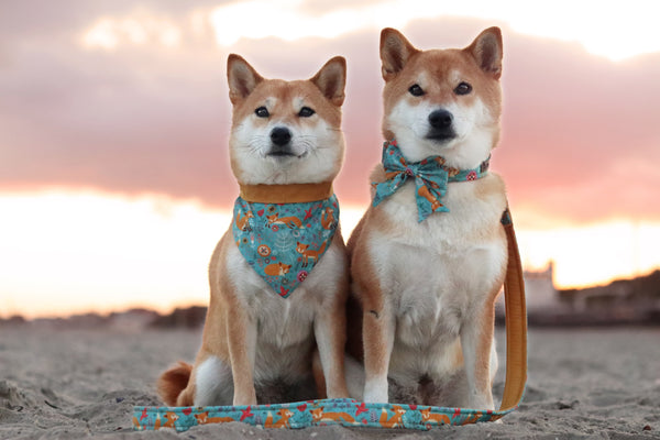 "Fox & Flowers" Schleife für Hundehalsbänder