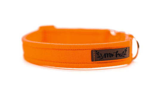 "Orange Uni" Halsband für Hunde - Mr. Fox Hundezubehör