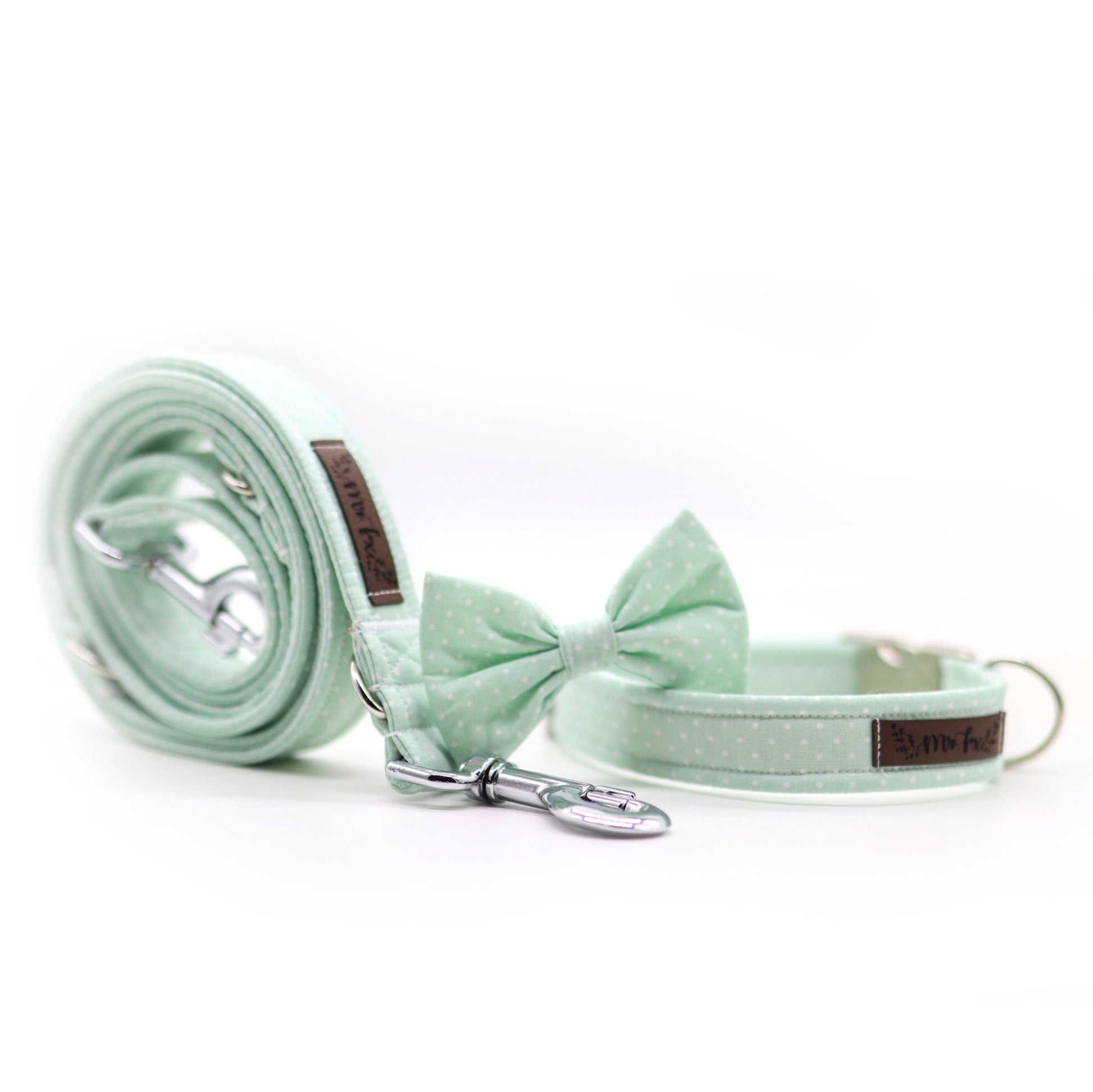 "Mint Polkadot" Hundeleine - Mr. Fox Hundezubehör