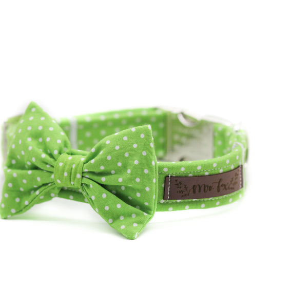 "Apple Green Polkadot" Halsband für Hunde