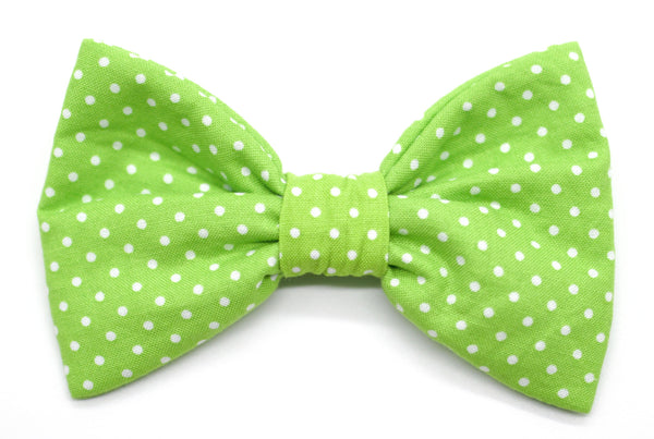 "Apple Green Polkadot" bow tie for dog collars
