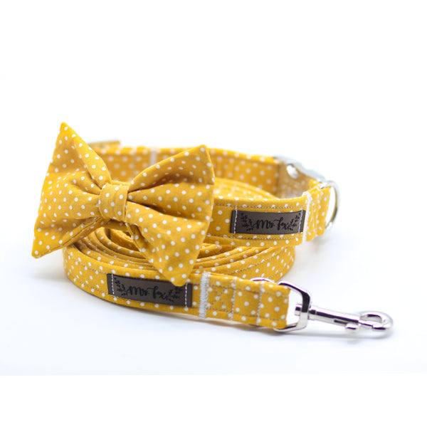 "Mustard Polkadot" collar for dogs