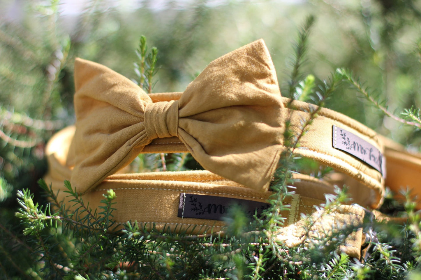 "Honey Uni" Halsband für Hunde - Mr. Fox Hundezubehör