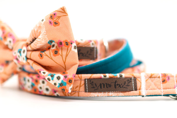 "Delightful Dandelions" Leash