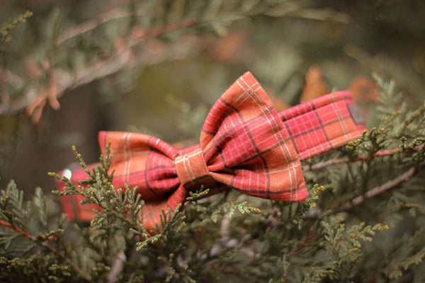 Scotland Style Bow Tie