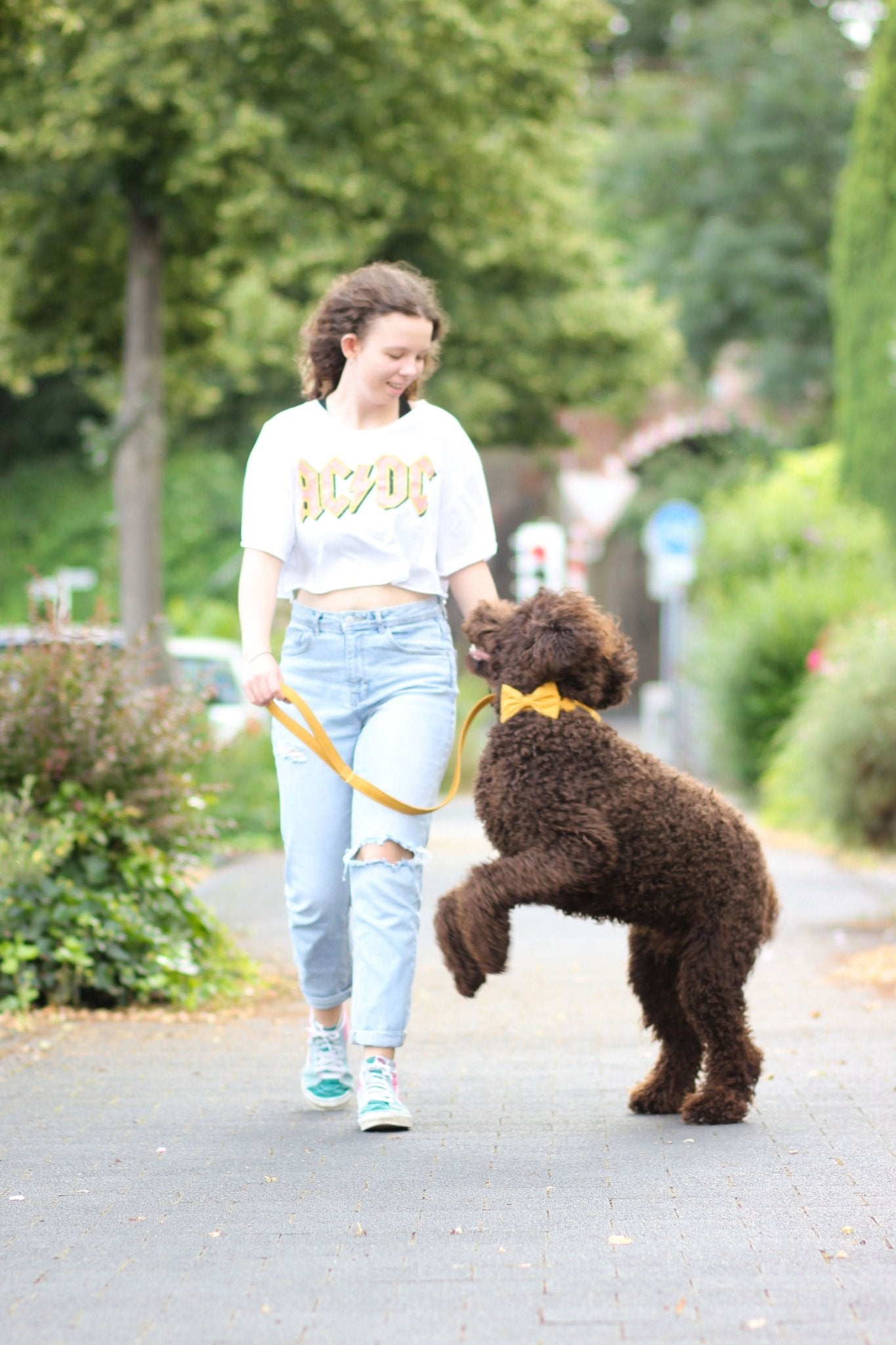 "Honey Uni" Halsband für Hunde - Mr. Fox Hundezubehör