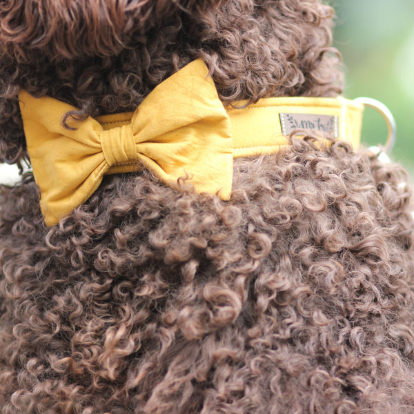 "Honey Uni" bow tie for dog collars